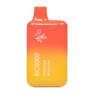 ELF BAR BC5000 Disposable 5000 puffar Beach Day 650 mAh