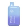 ELF BAR BC5000 Disposable Black Winter 5000 puffar 13 ml